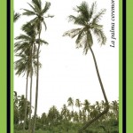 La palmera ceremoniosa