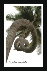 La palmera enredada