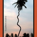 La palmera escalera que sube al cielo