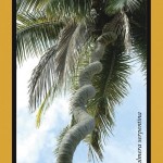 La palmera serpentina